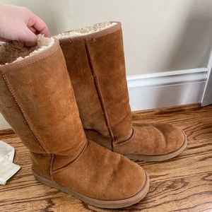 Tall Chestnut Uggs